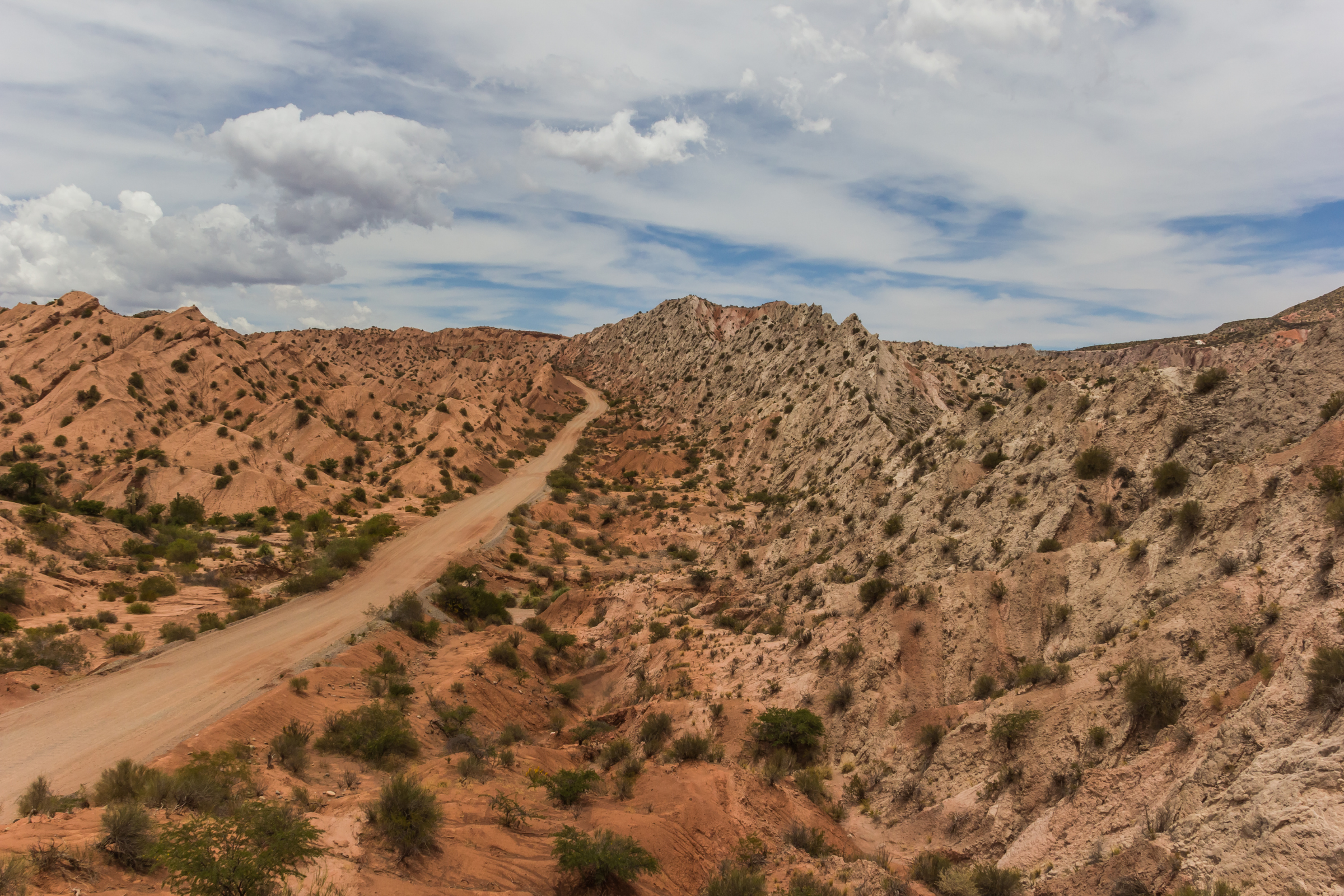 Los_Cardones_National_Park[1].webp
